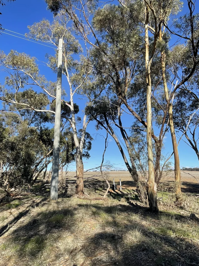 Additional image 24 of 54/54 Calder Highway, Wedderburn VIC 3518