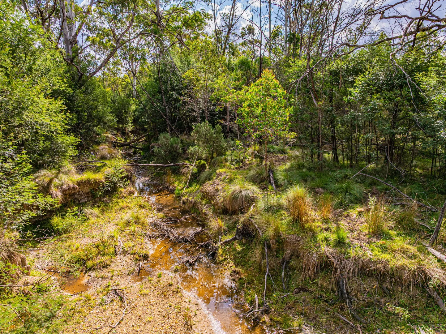 Additional image 6 of 153 Murumba Rd,, Bombay NSW 2622