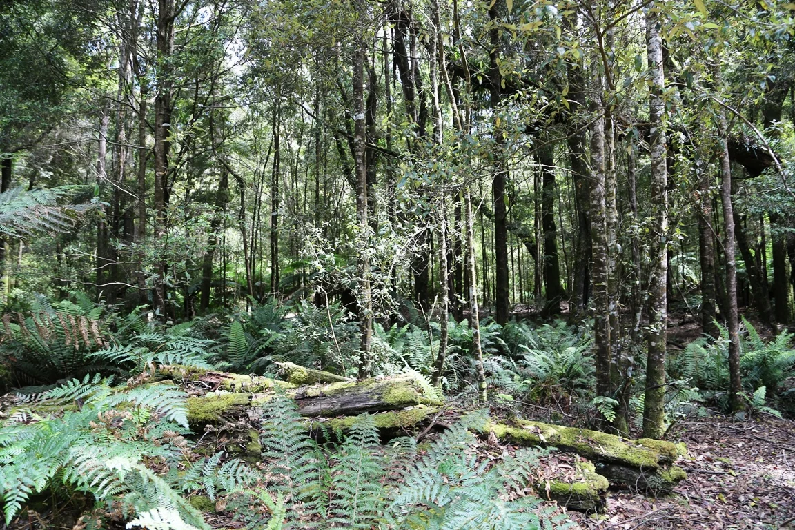 Additional image 18 of 1 Croles Road, Trowutta TAS 7330