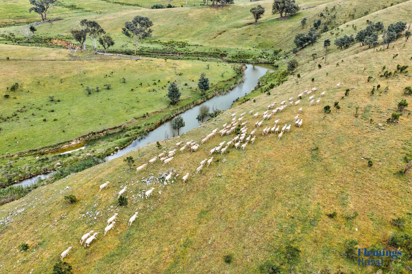 Additional image 13 of 1479 Grassy Creek Road, Rugby NSW 2583