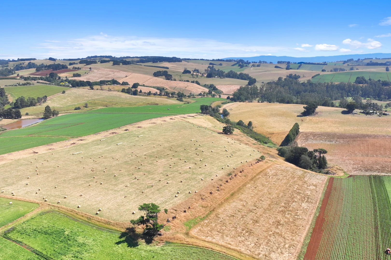 Additional image 19 of Lot 2/107 Cooks Road, Thorpdale VIC 3835