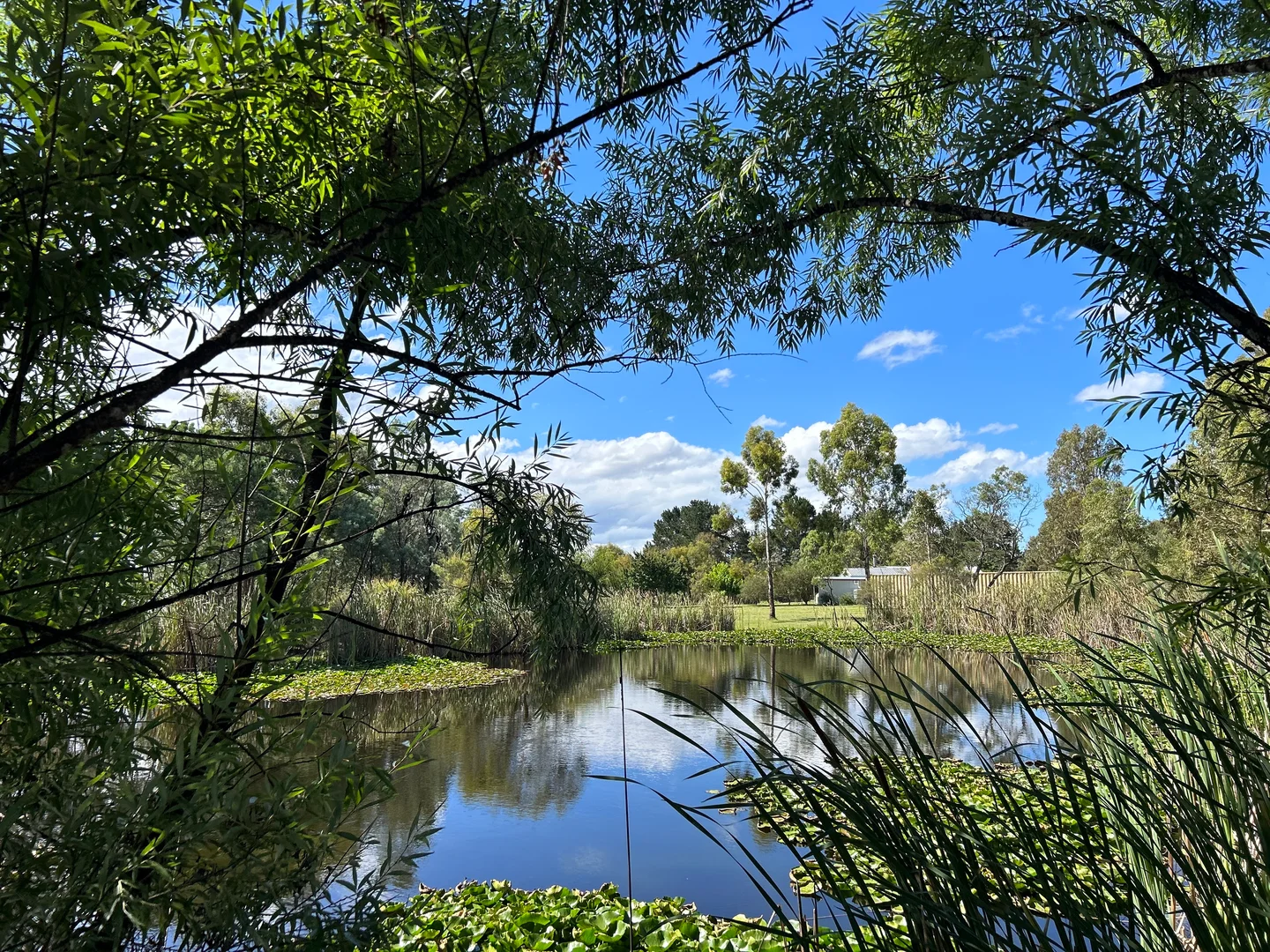 Additional image 26 of 249 Granite Belt Dve, Thulimbah QLD 4376