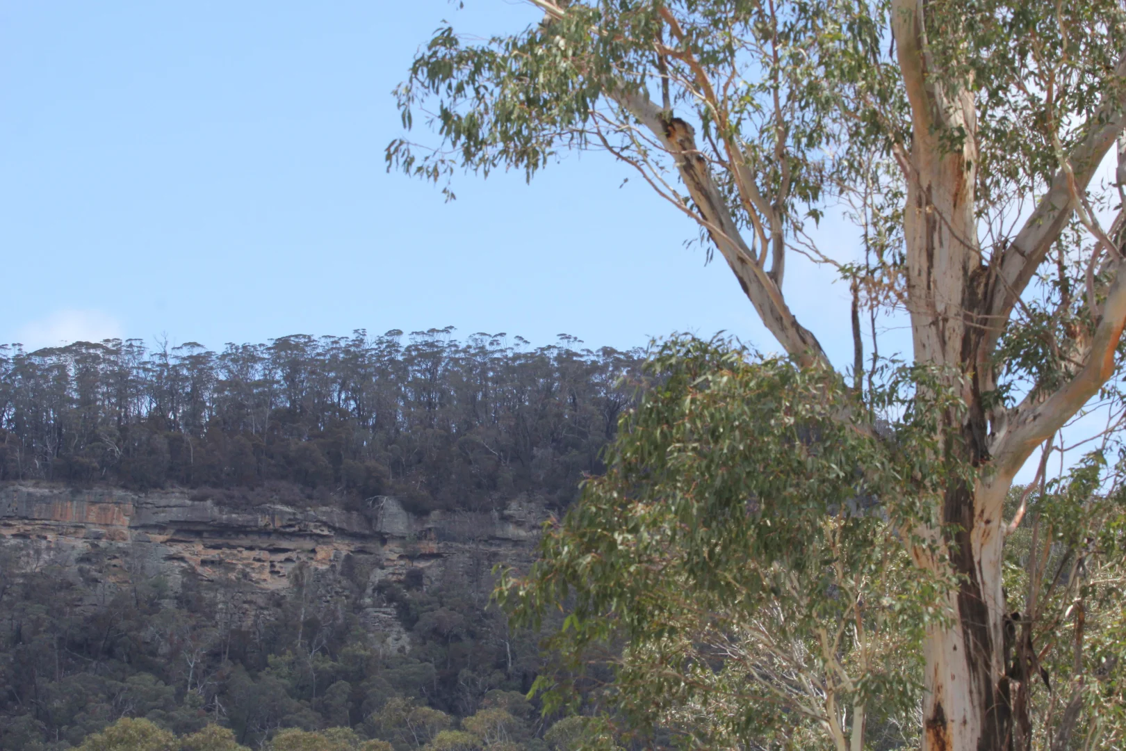 Additional image 22 of Lot 51 Glen Chee Road, Kanimbla NSW 2790