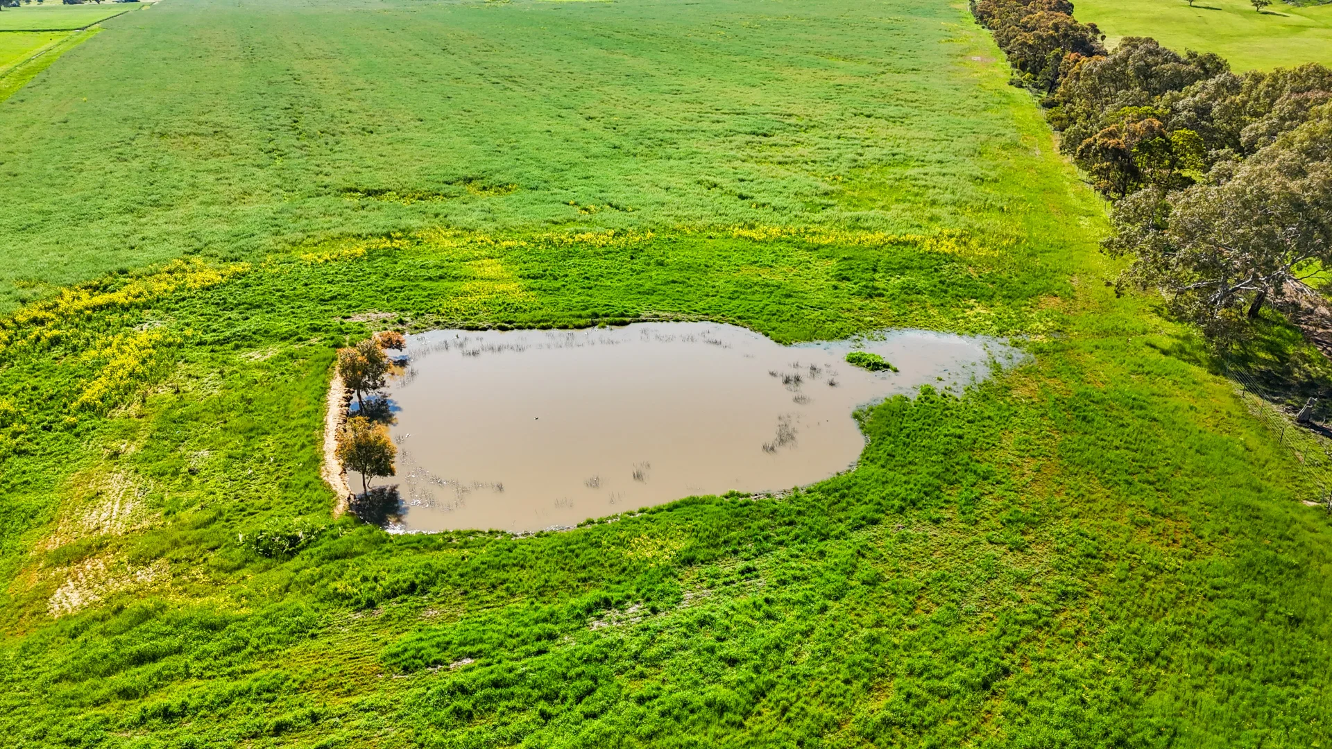 Additional image 7 of 60 Ellis Road, Beaufort VIC 3373