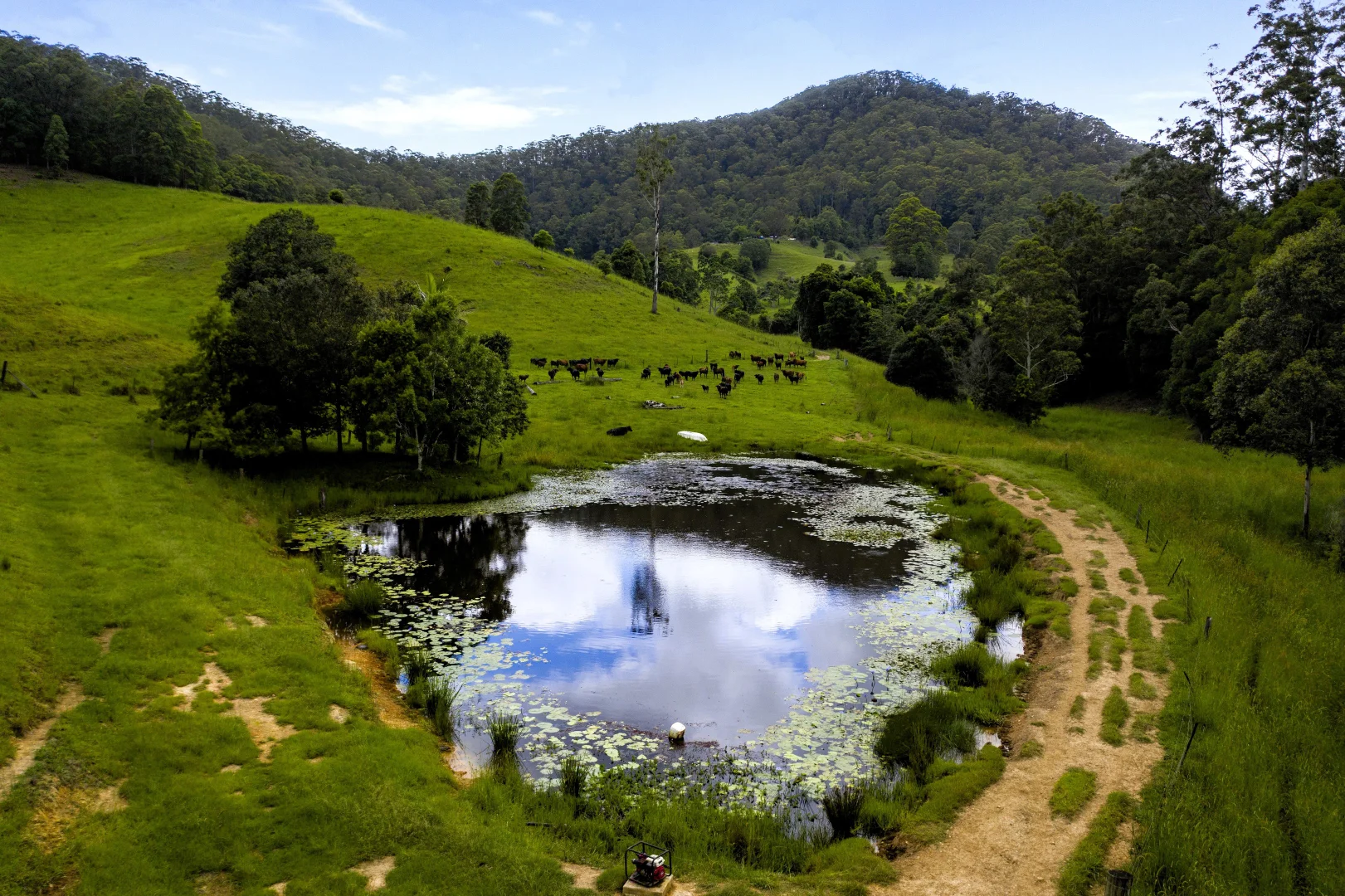 Additional image 20 of 6 Ringtail Road, Stokers Siding NSW 2484