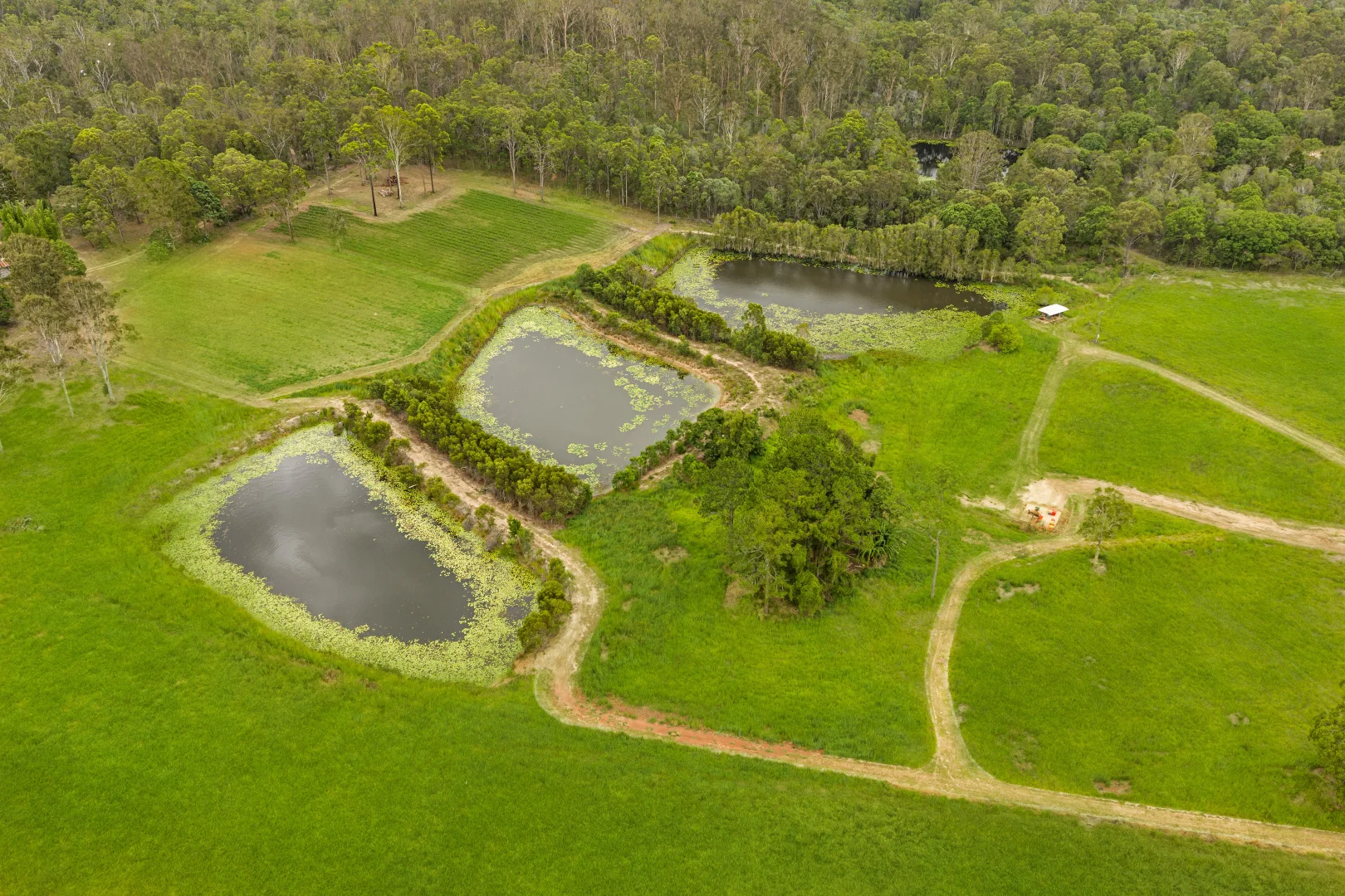 Additional image 9 of 1233 Anderleigh Road, Anderleigh QLD 4570