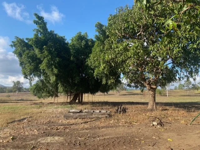 Additional image 3 of L 222 Bedarra Court, Bloomsbury QLD 4799