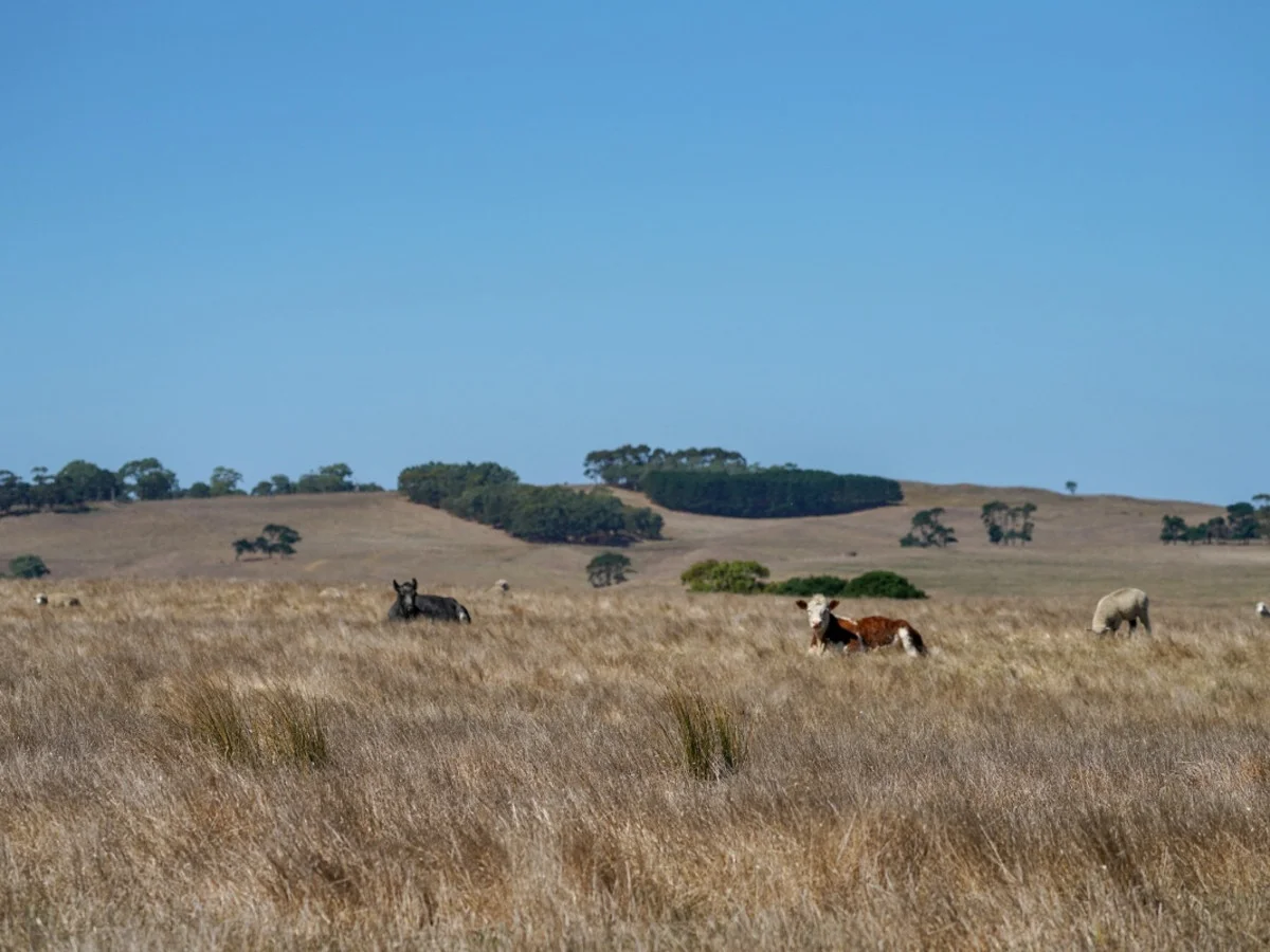 Additional image 19 of 589 Paschendale Road, Paschendale VIC 3315