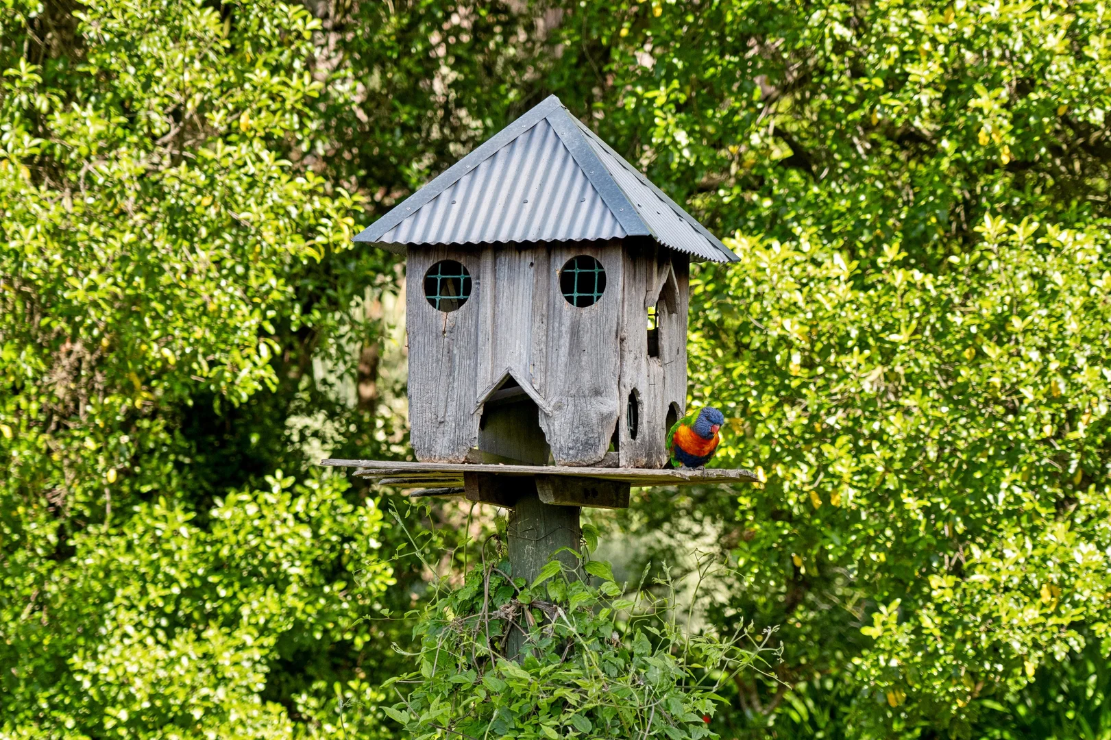 Additional image 22 of 47 Lowry Drive, Woodend VIC 3442