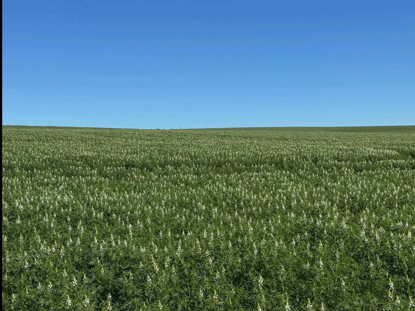 Additional image 32 of Valentine Road, Wicherina WA 6532