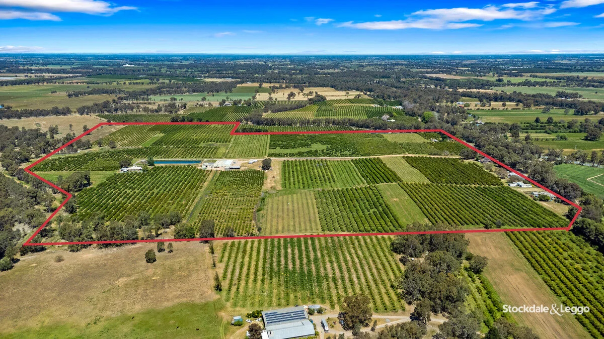 Additional image 6 of 154-198 Torgannah Road, Koonoomoo VIC 3644