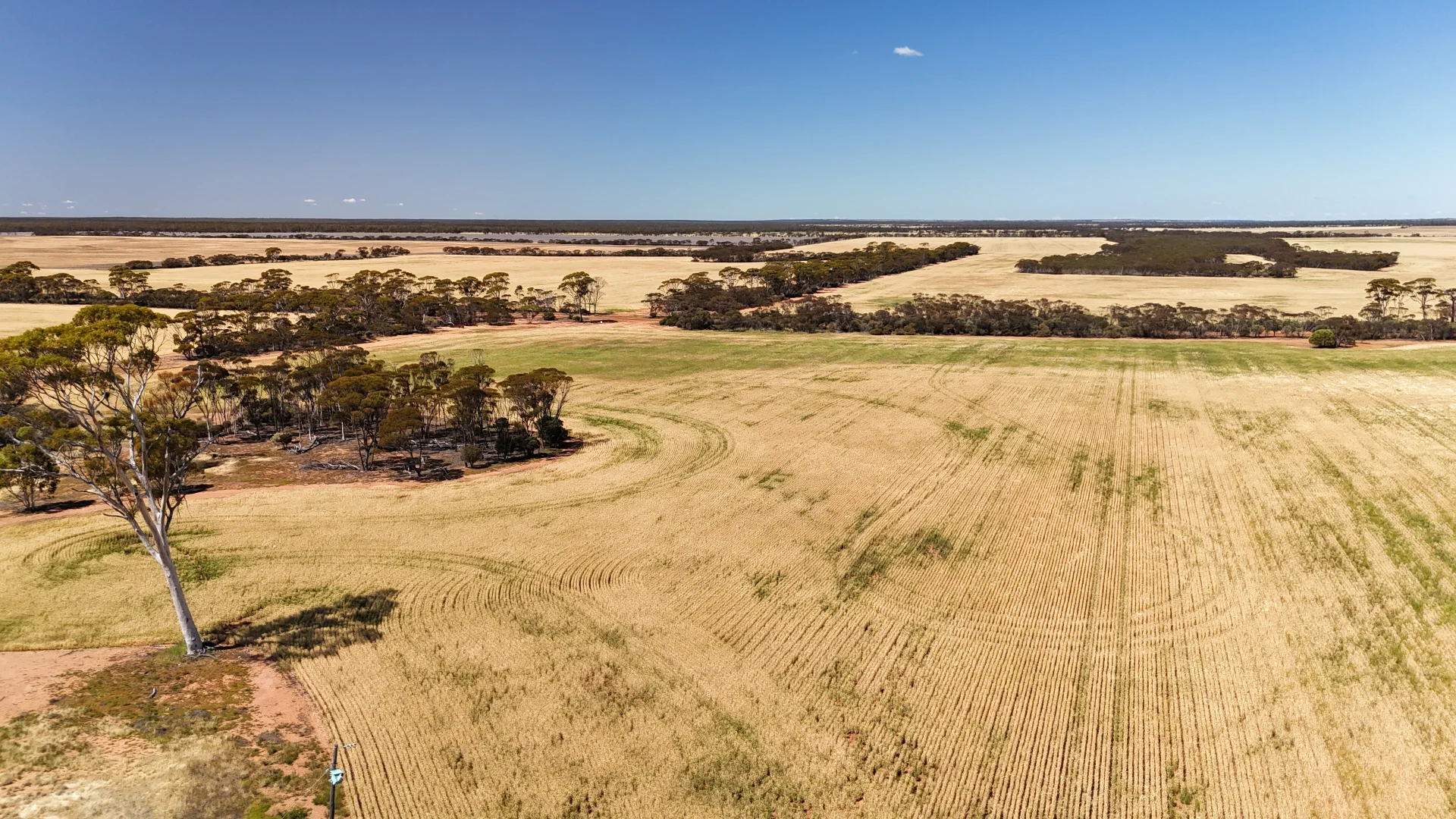 Additional image 46 of 3279 Calzoni Road, Hyden WA 6359