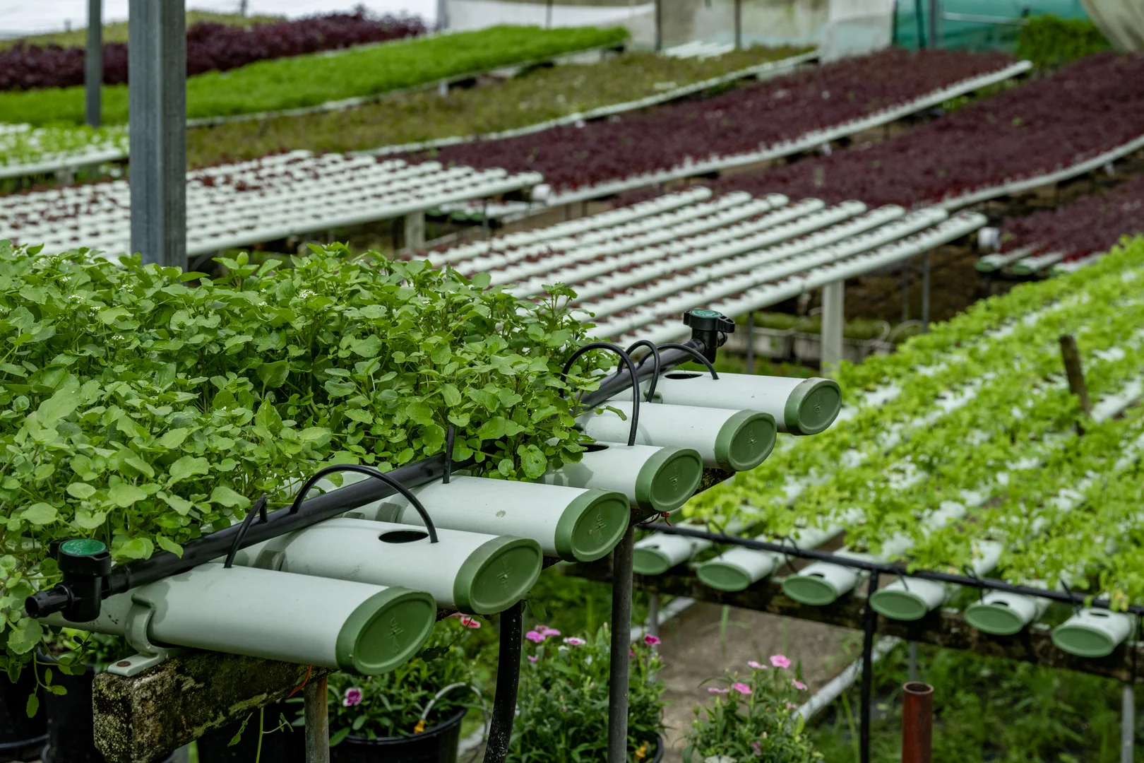 Additional image 31 of 44 Glen Nathan Court, Mount Nathan QLD 4211