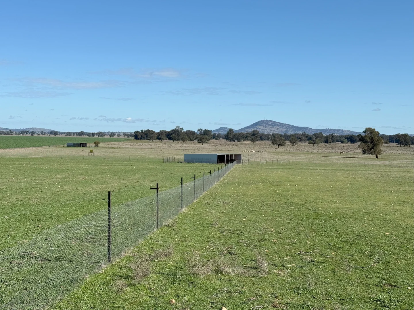Additional image 3 of Wirrinya Road, Forbes NSW 2871