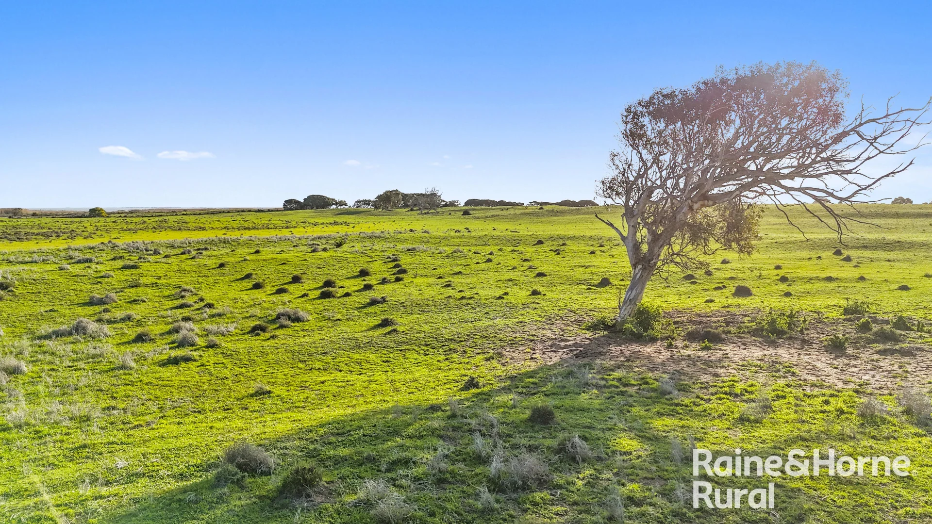 Additional image 26 of Lot 3 Flagstaff Road, Wellington SA 5259