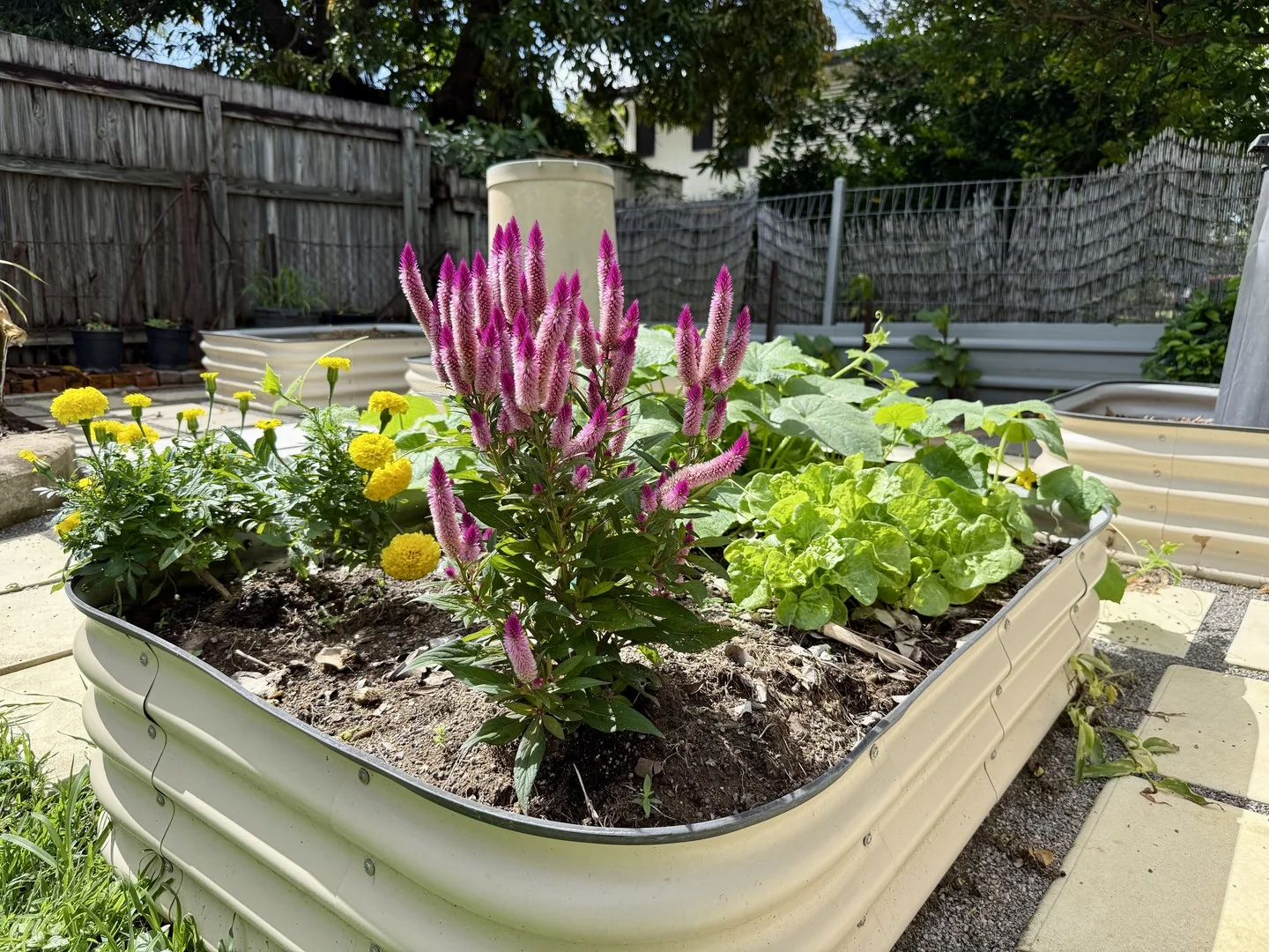 Additional image 16 of 40 Crocker Street, Kirwan QLD 4817