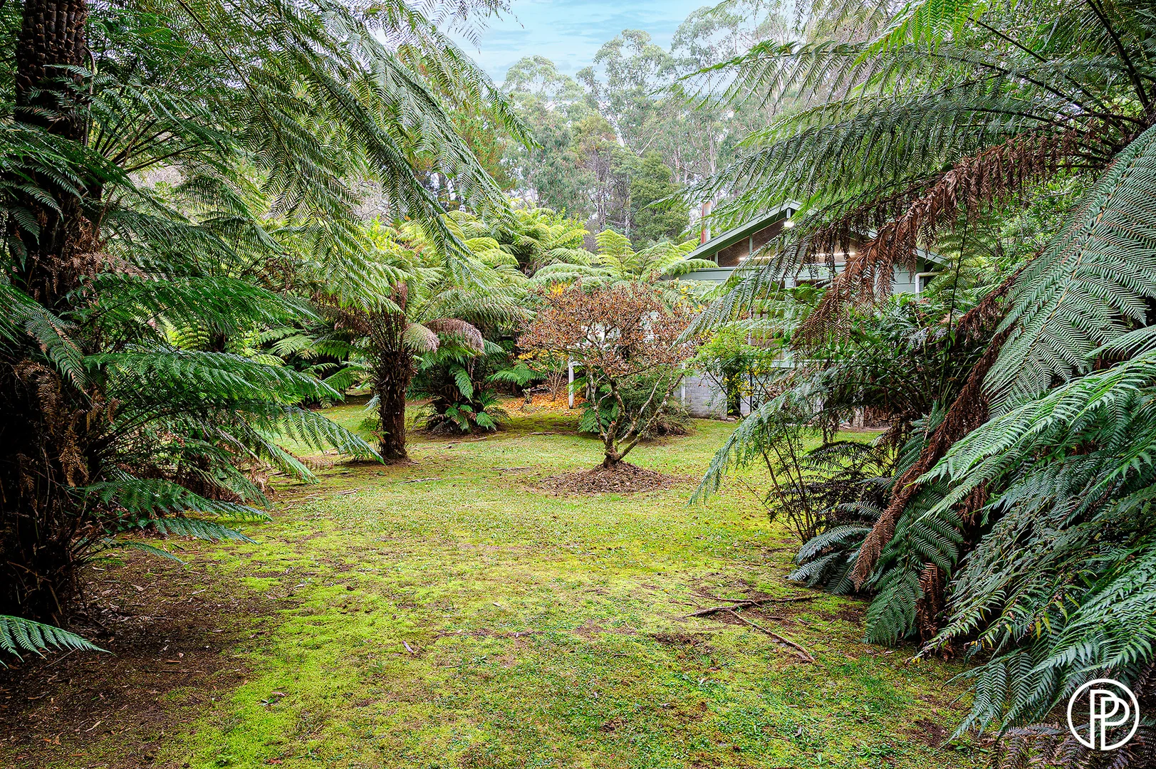 Additional image 16 of 8 Anglers Drive, East Warburton VIC 3799