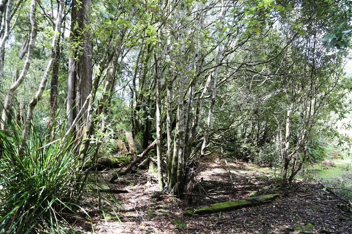 Additional image 10 of 1 Croles Road, Trowutta TAS 7330