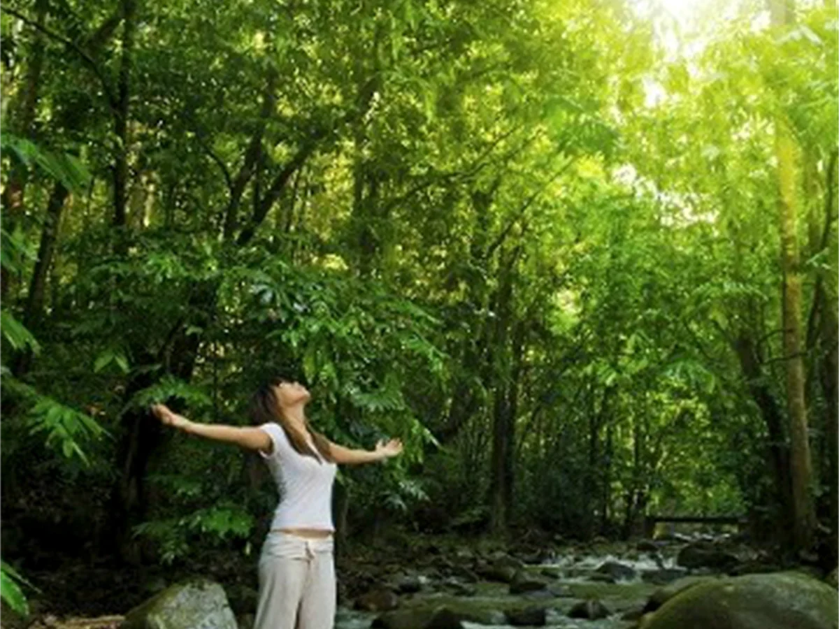 Additional image 8 of 1-11 Discovery Drive, Kuranda QLD 4881