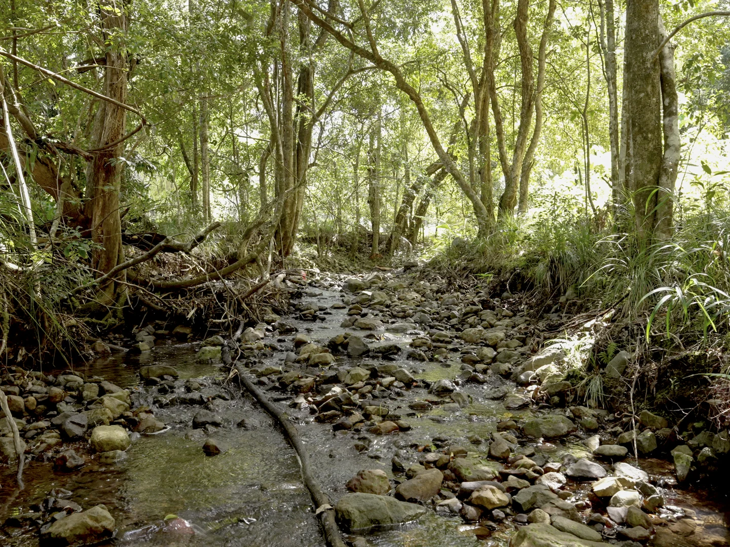 Additional image 6 of 1 Freida Hicks Drive, Bellingen NSW 2454
