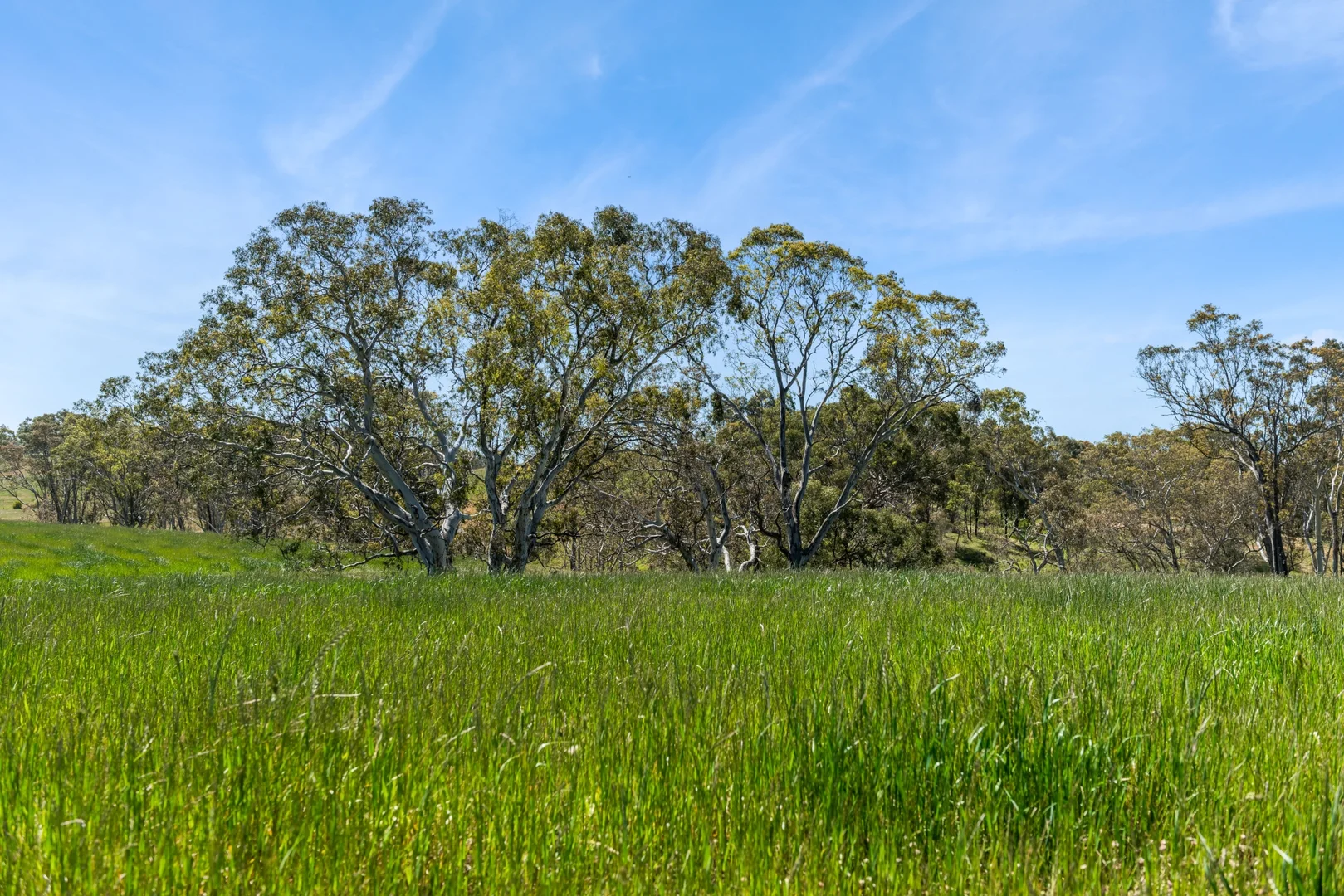 Additional image 5 of Lot 12 Jeffreys Lane, Broadford VIC 3658