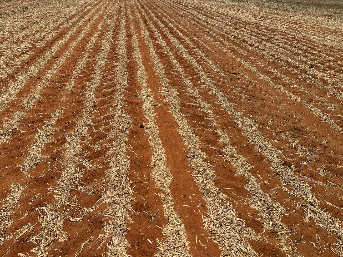 Additional image 7 of 1523 Geranium North Road, Geranium SA 5301