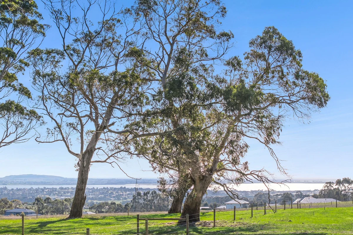 Additional image 5 of Holts Road, Elliminyt VIC 3250