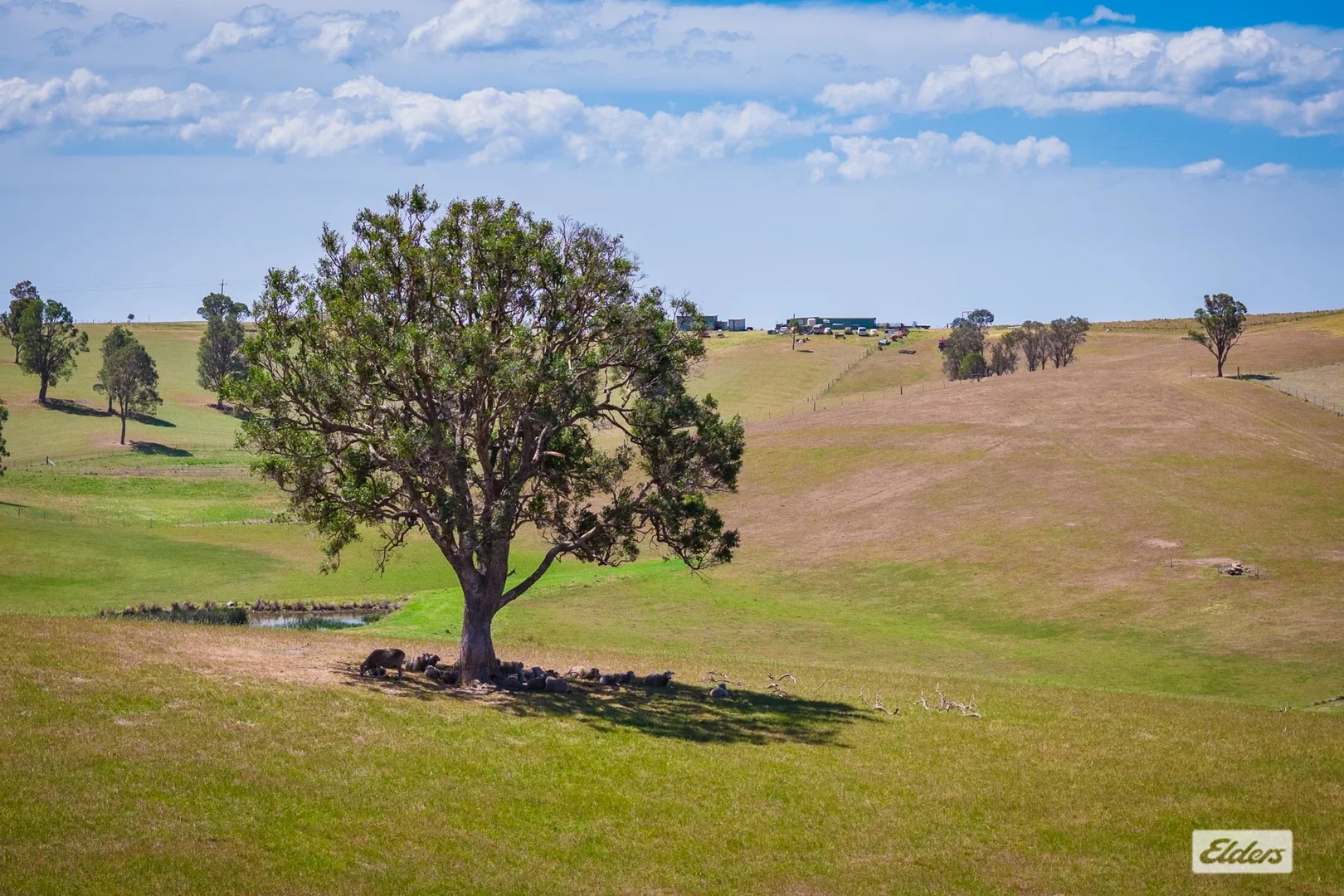 Additional image 6 of 921 Mogilla Road, Tantawangalo NSW 2550