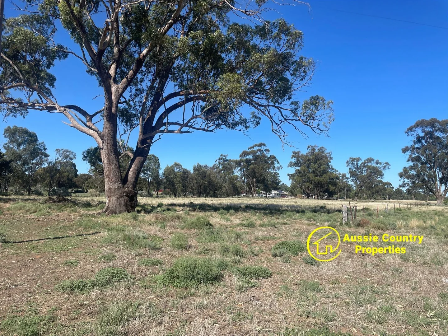 Additional image 12 of 51-59 Momalong Street, Berrigan NSW 2712