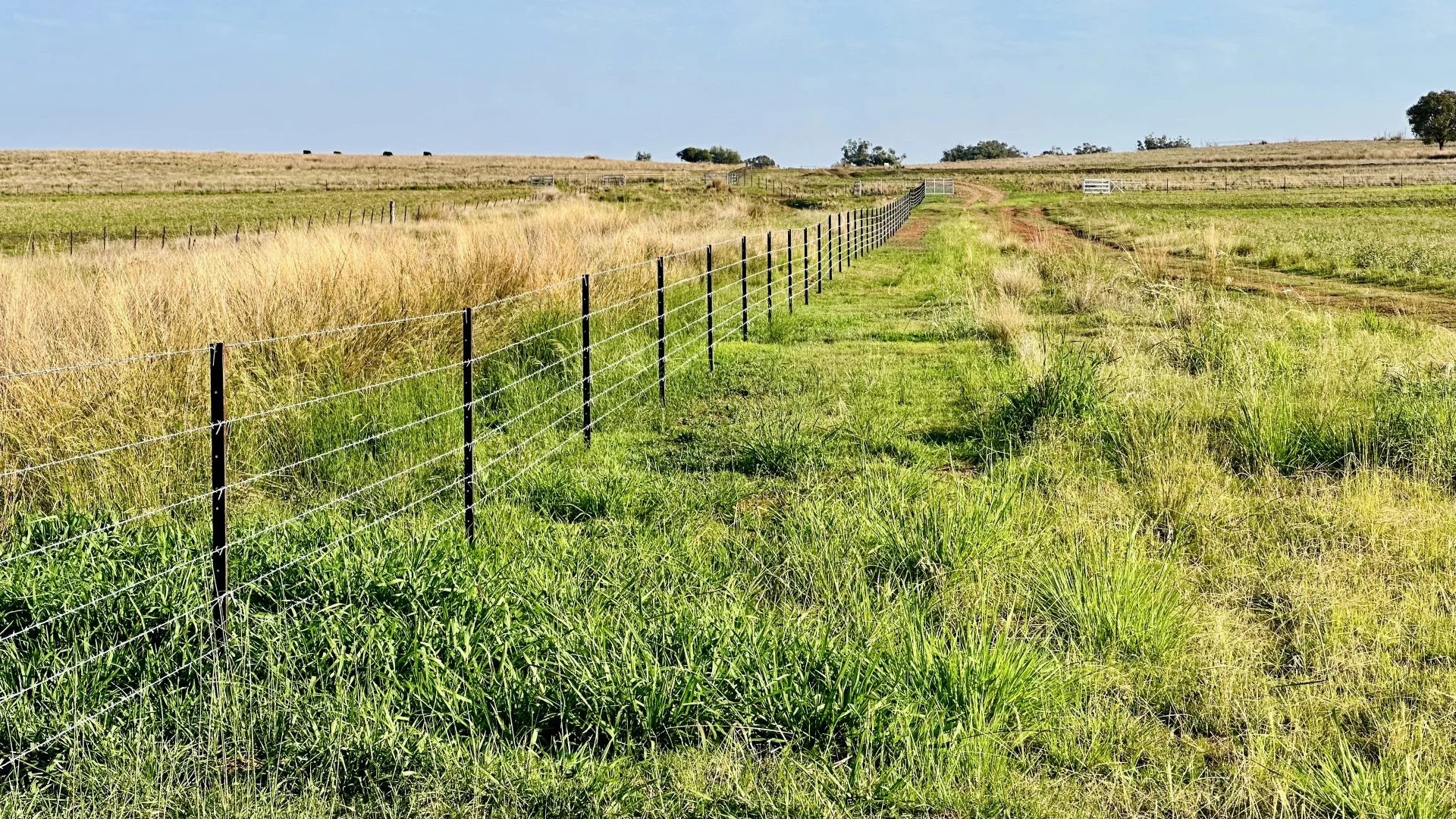 Additional image 9 of 450 Bridges Road, Gunnedah NSW 2380