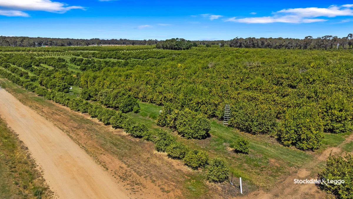 Additional image 27 of 154-198 Torgannah Road, Koonoomoo VIC 3644