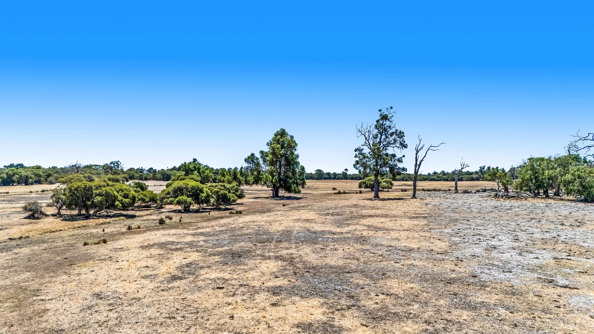 Additional image 31 of Lot 1 Jilley Road, Boyanup WA 6237
