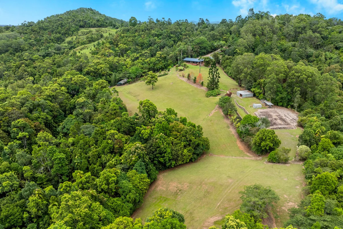 Additional image 32 of 222 Hitchconole Road, Tarzali QLD 4885