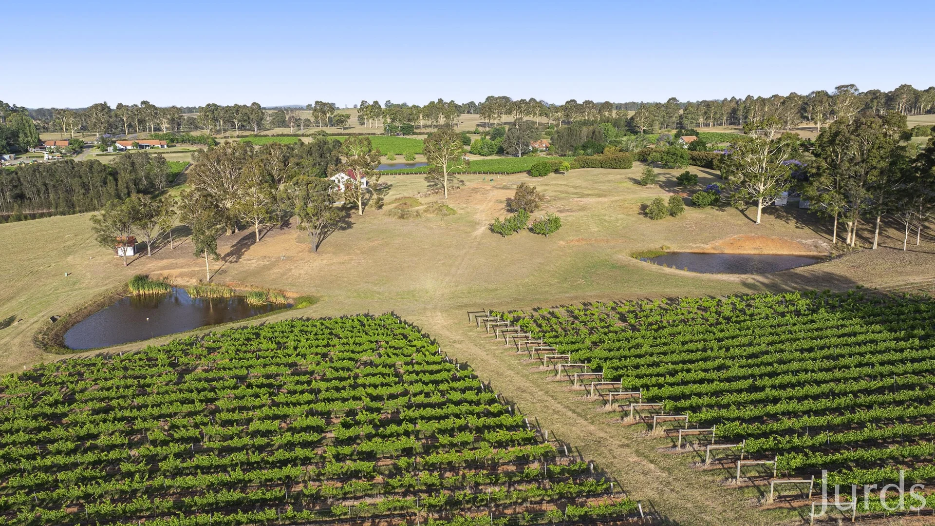 Additional image 11 of 110 Old North Road, Pokolbin NSW 2320