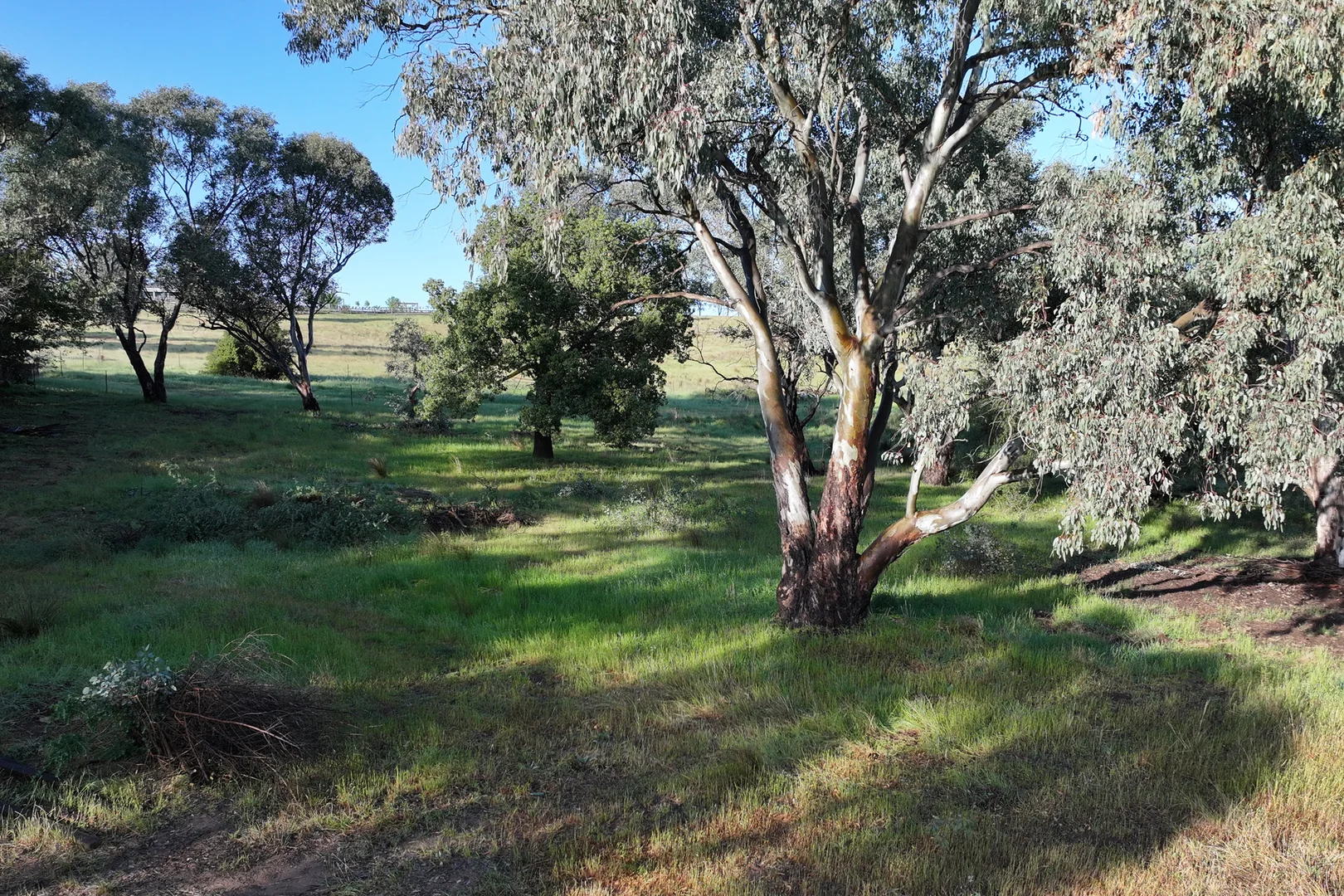 Additional image 5 of 18 Mylora Street, Binalong NSW 2584