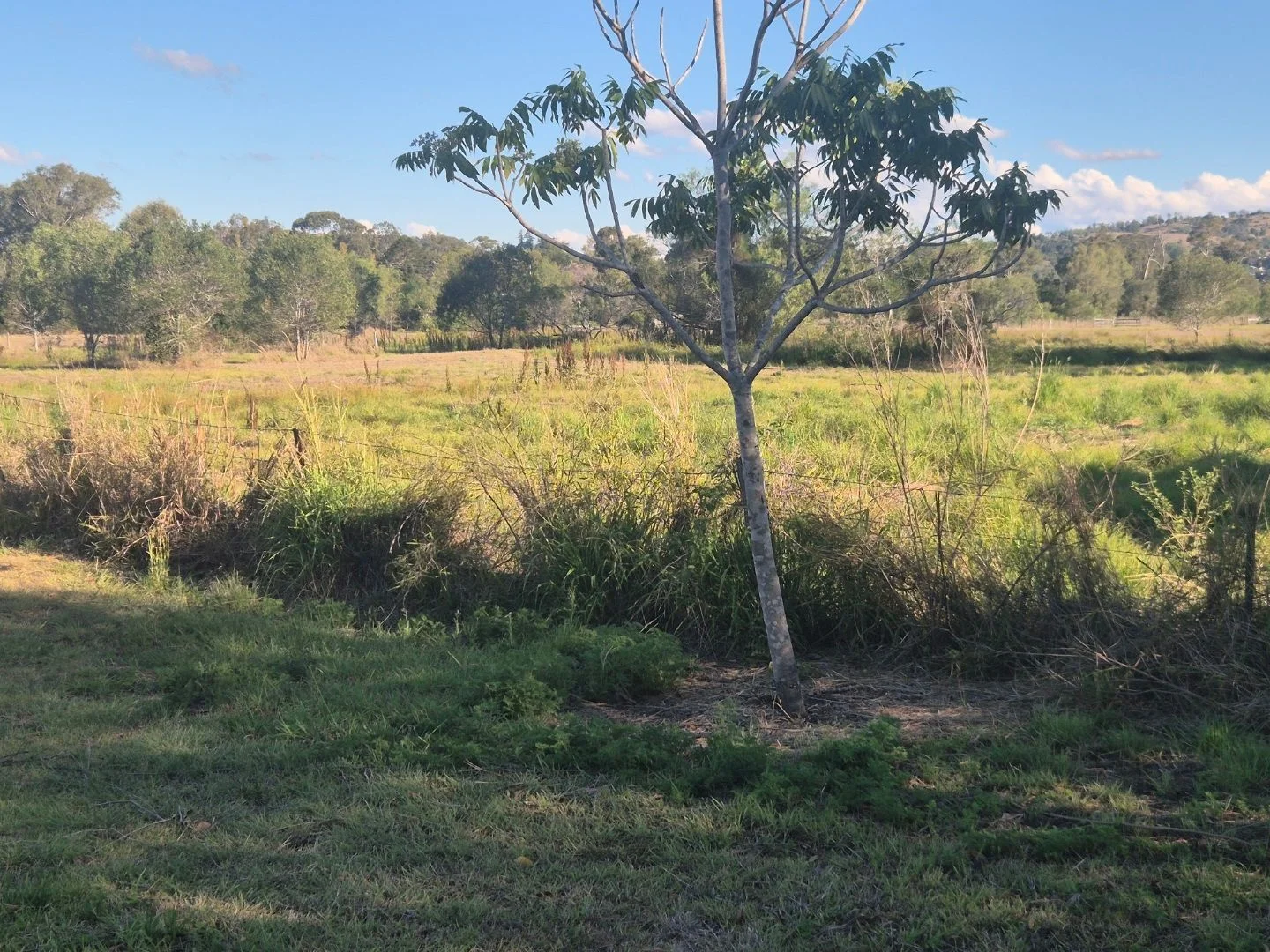 Additional image 11 of Marburg QLD 4346