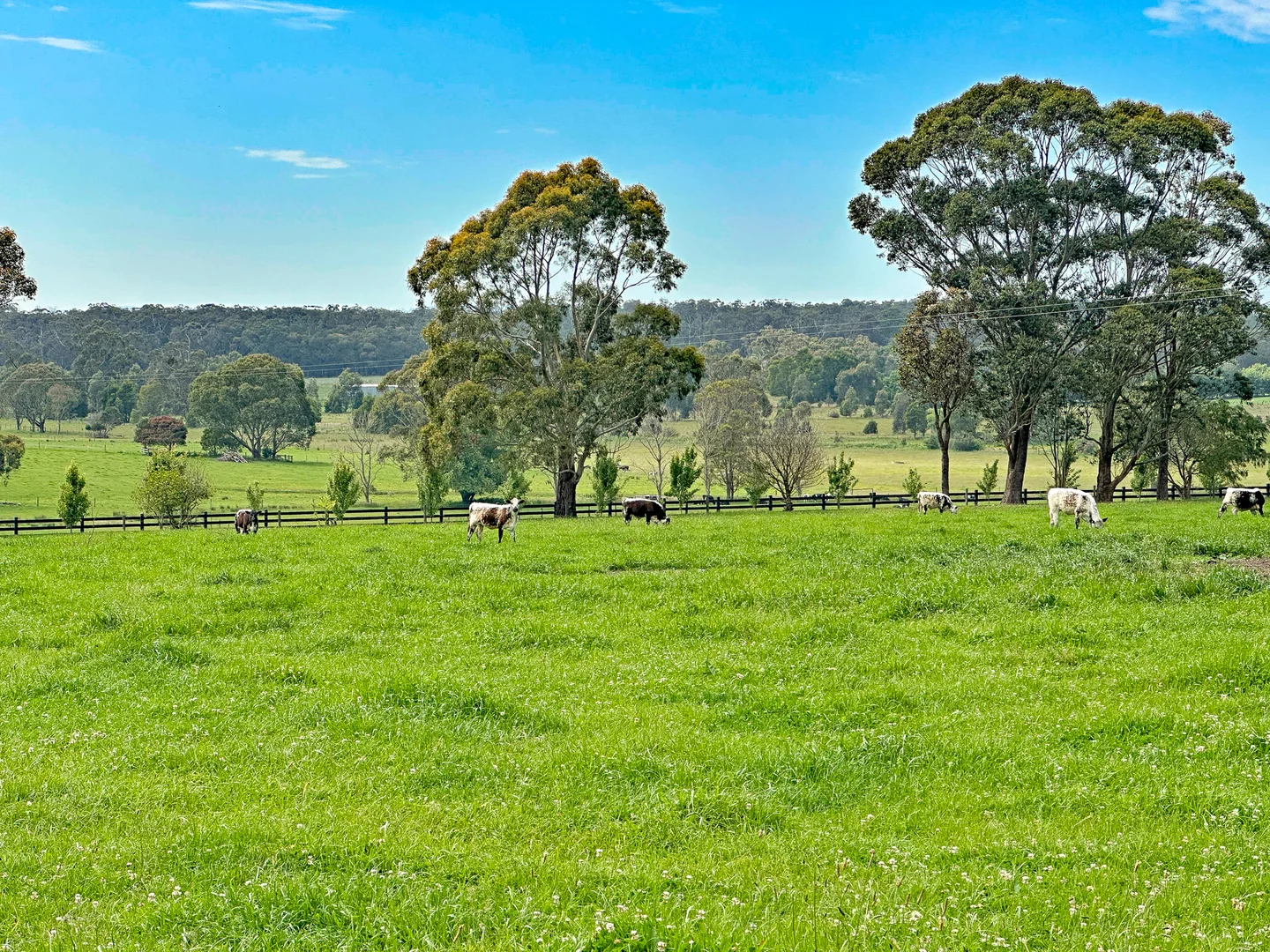 Additional image 26 of 222 Williamsons Road, Nilma North VIC 3821