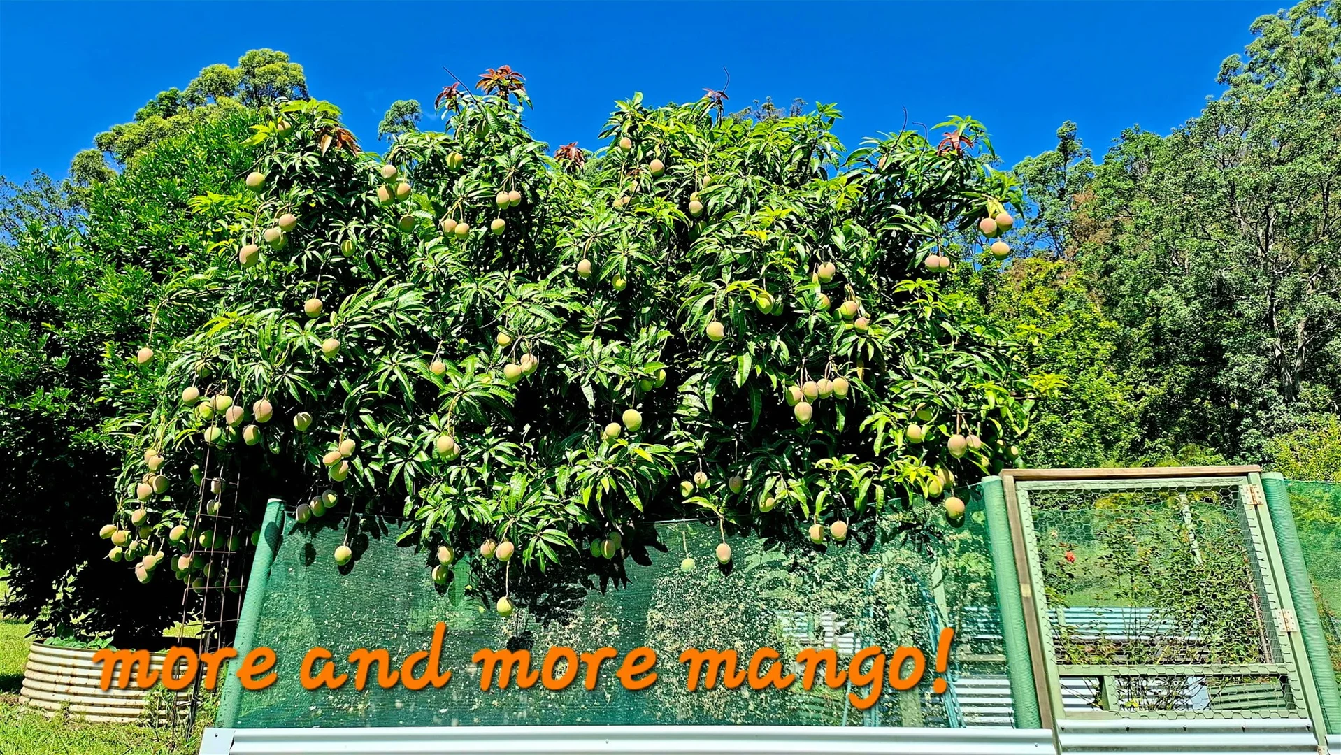 Additional image 24 of 32/265 Martin Road, Larnook NSW 2480