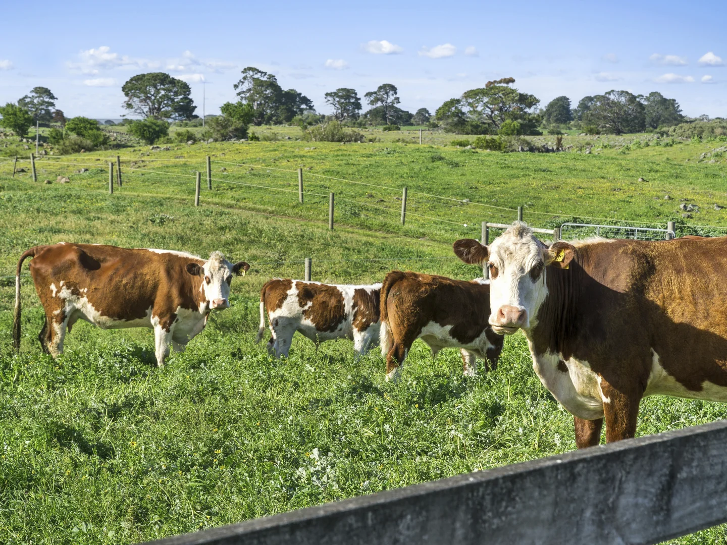 Additional image 16 of 180 Beeac-Dreeite Road, Beeac VIC 3251