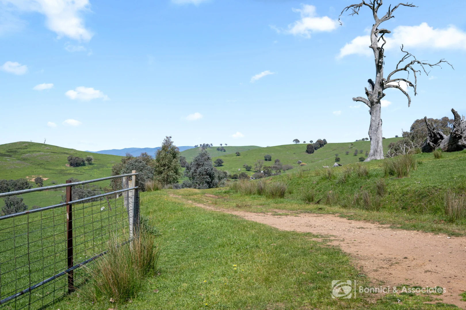 Additional image 6 of BARTLETTS Springdale Road, Bethanga VIC 3691