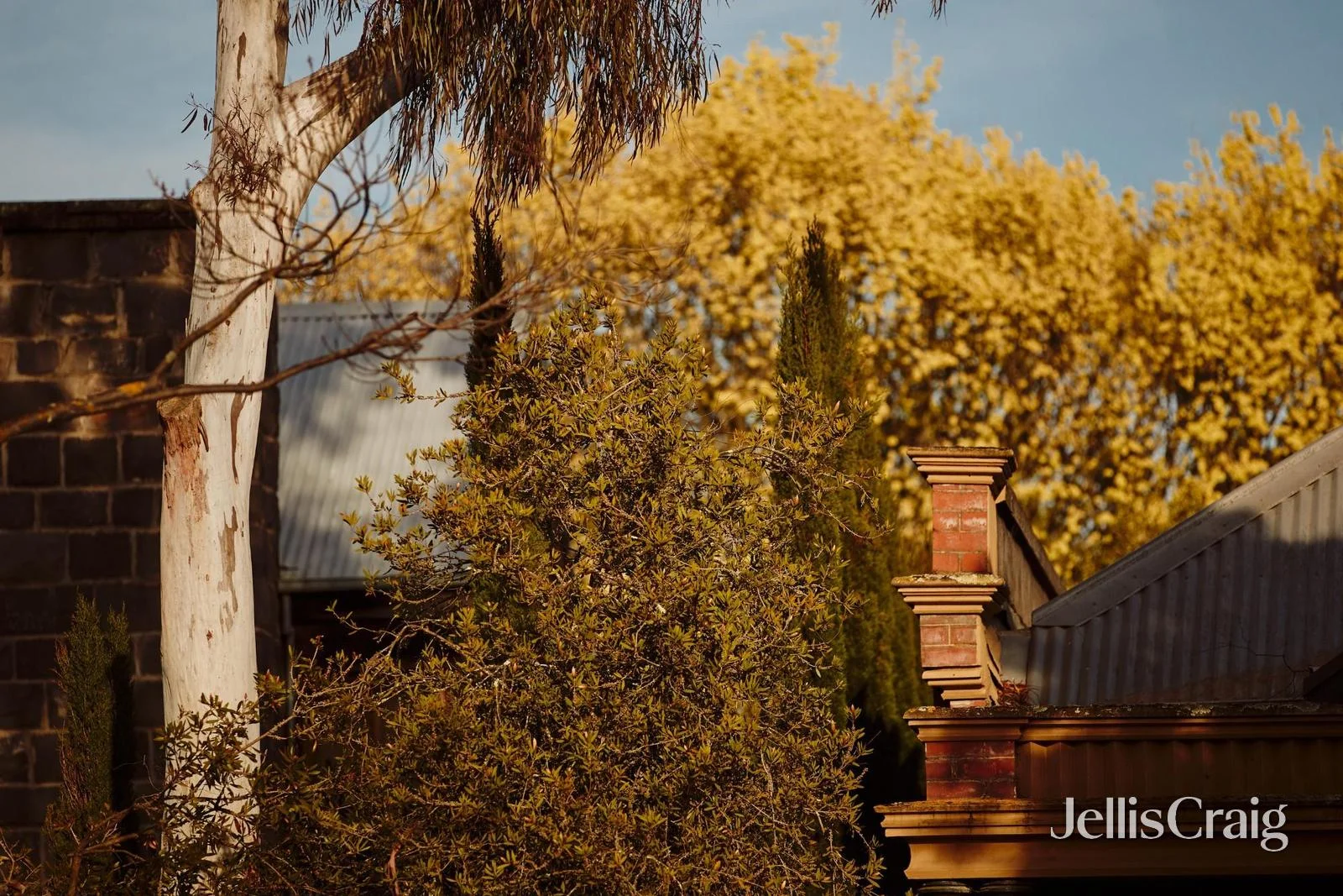 Additional image 8 of G.01/4-6 Lyons Street North, Ballarat Central VIC 3350