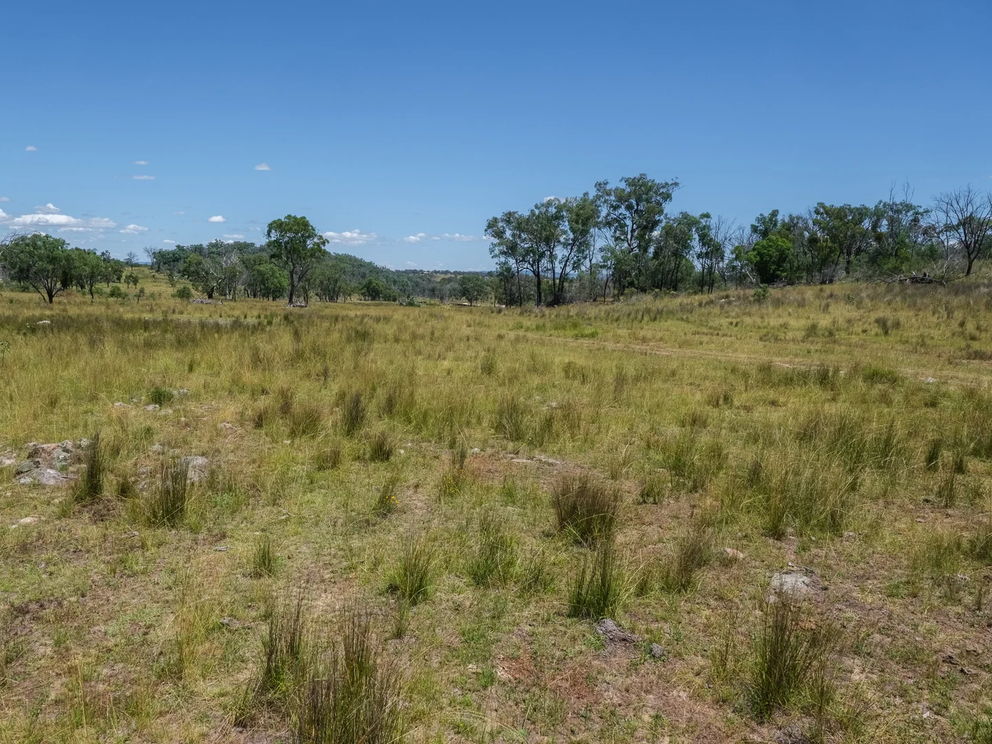 Additional image 8 of 778 Torryburn Road, Yarrowyck NSW 2358