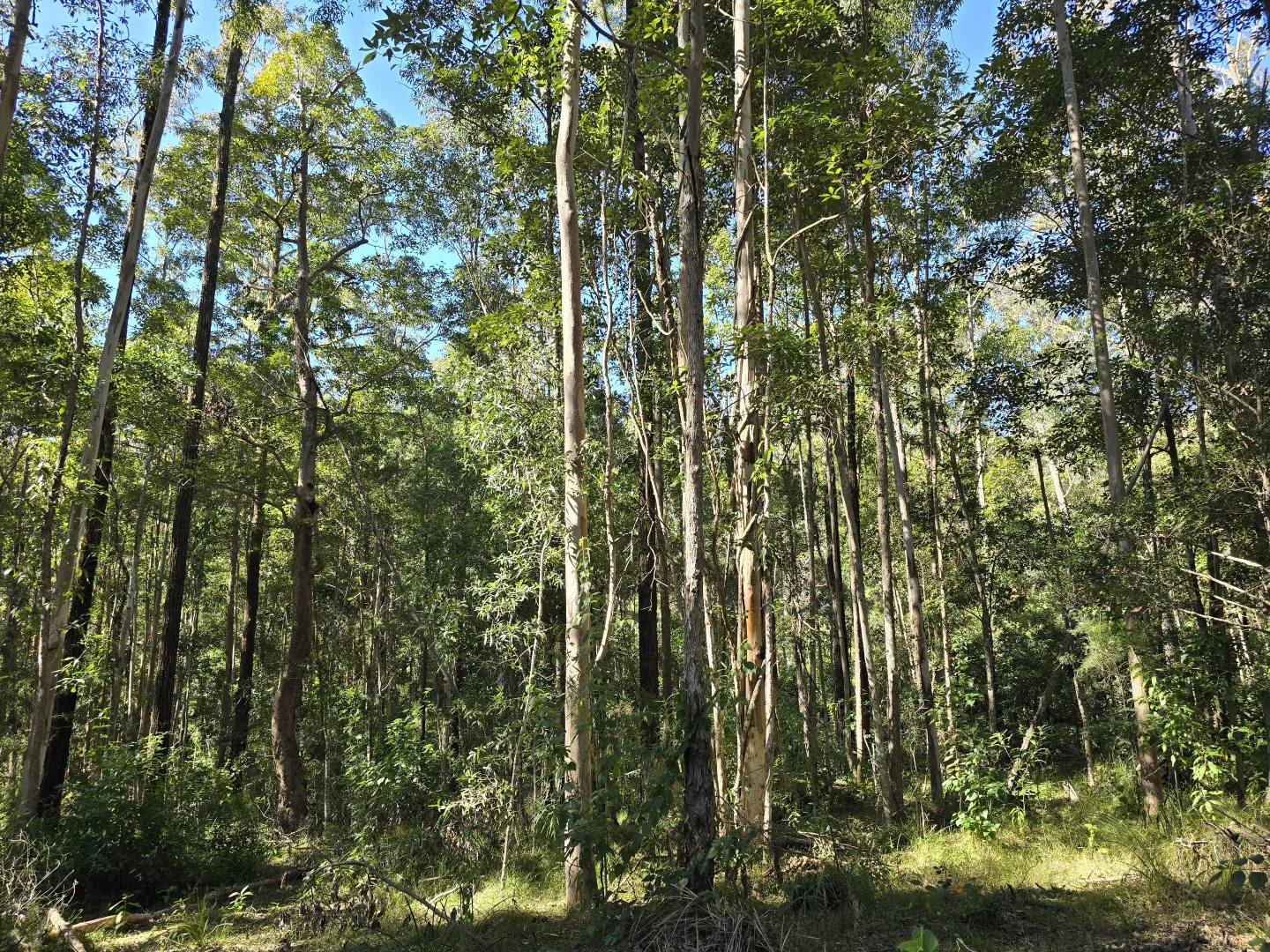 Additional image 3 of 0 SUNDAY CREEK ROAD, Jimna QLD 4515