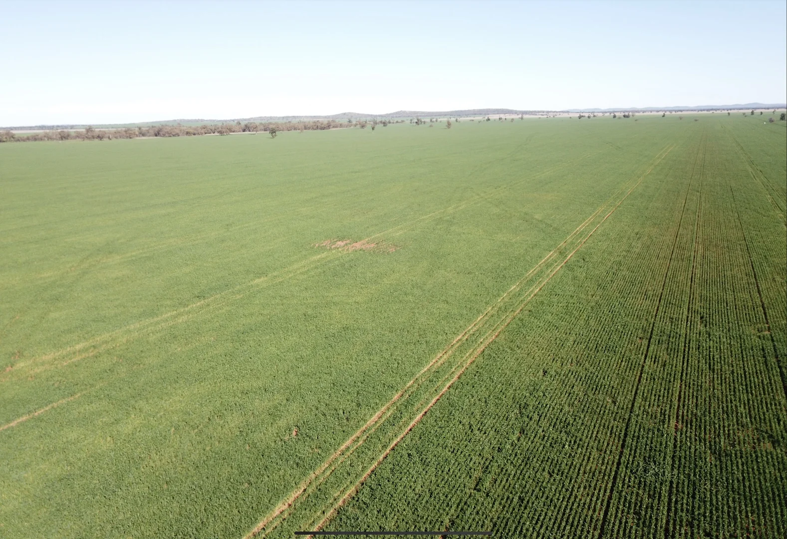 Additional image 7 of 762 Cornells Road, Condobolin NSW 2877