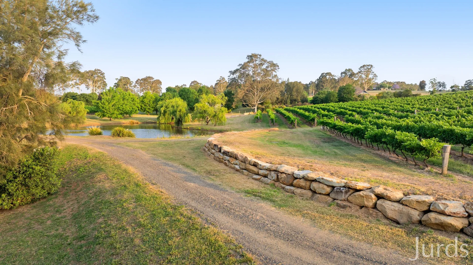 Additional image 34 of 110 Old North Road, Pokolbin NSW 2320