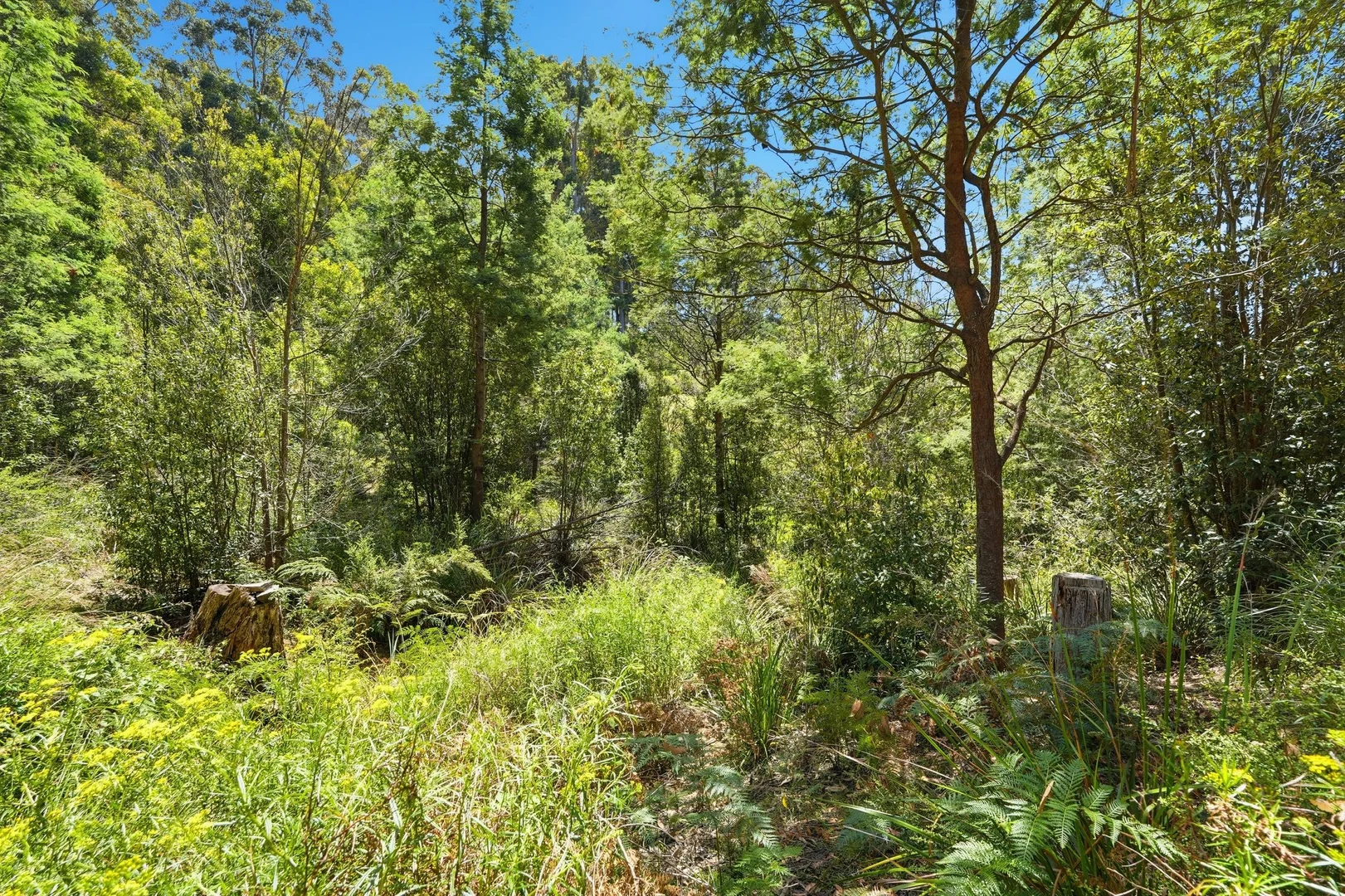 Additional image 5 of 9 Esperance Coast Road, Dover TAS 7117