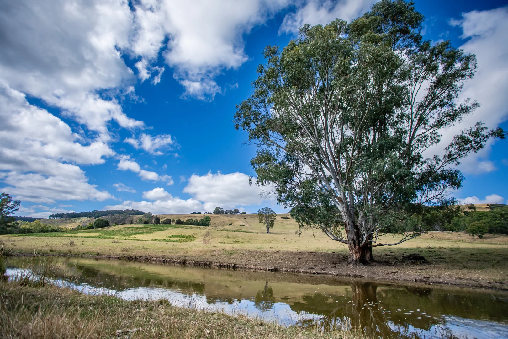 Additional image 7 of 93 The Bluff Road, Casterton VIC 3311
