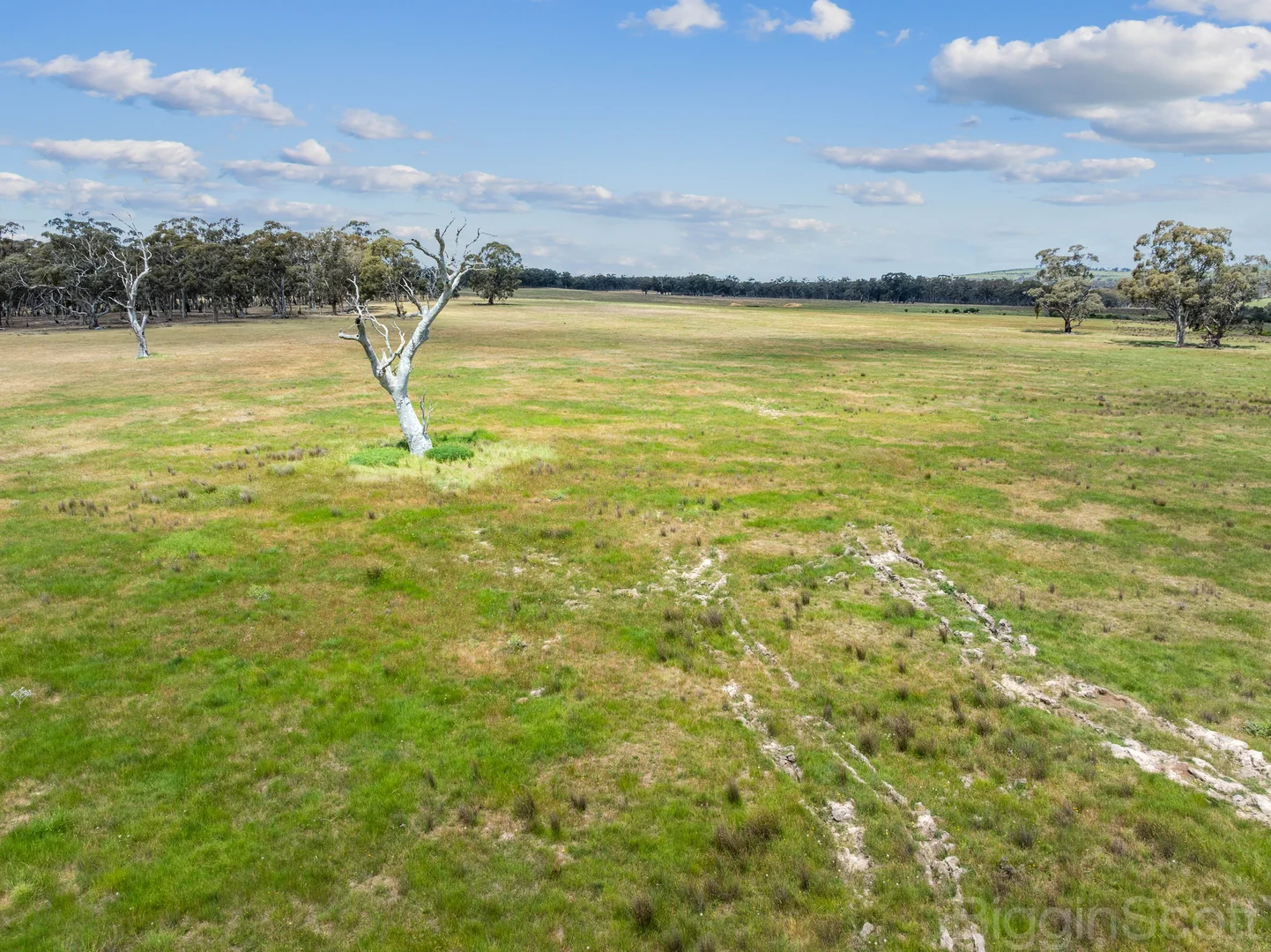 Additional image 16 of 260 Deep Creek Road, Campbelltown VIC 3364