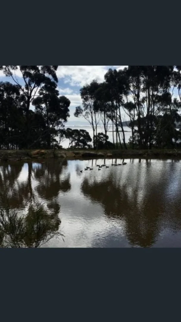 Additional image 9 of 153 White Beach Road, White Beach TAS 7184