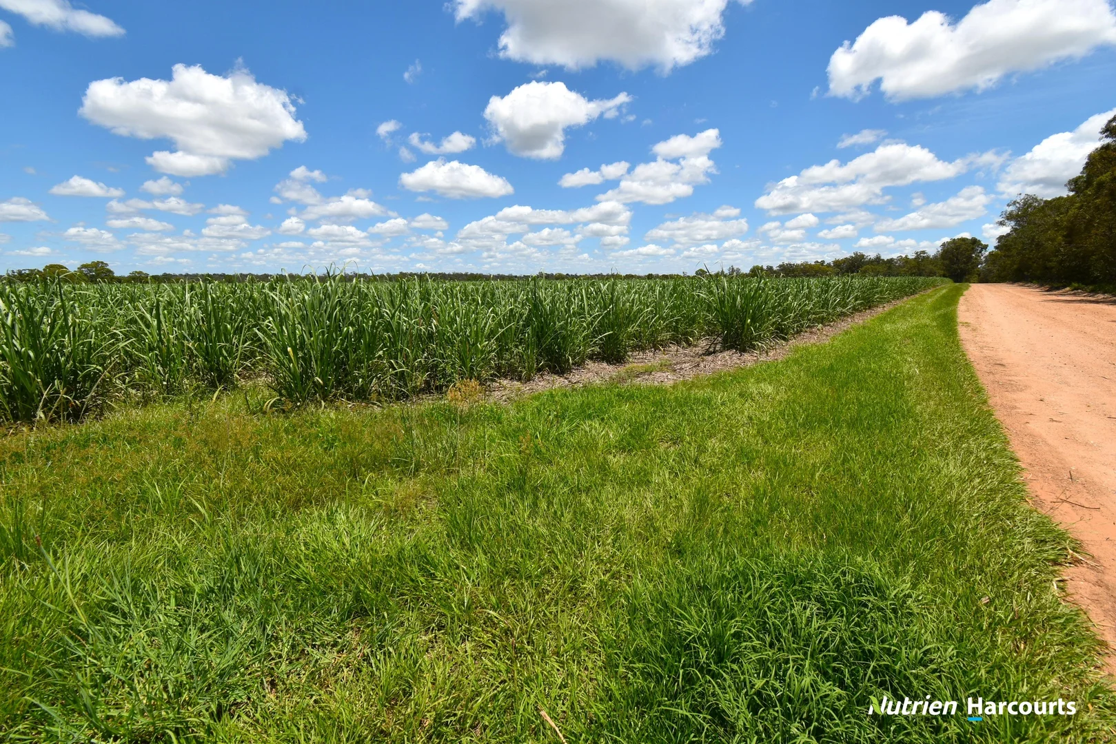 Additional image 11 of 3392 Childers Road, Gregory River QLD 4660